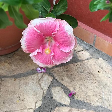 Hotel Buena Vista Copan Ngoại thất bức ảnh