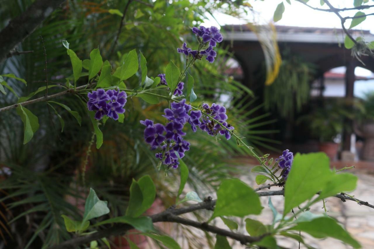 Hotel Buena Vista Copan Ngoại thất bức ảnh